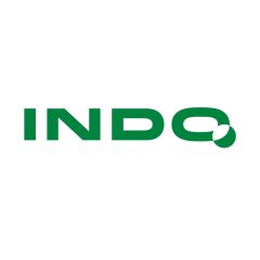 indo